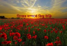 নিজের সম্পর্কে কিছু উক্তি