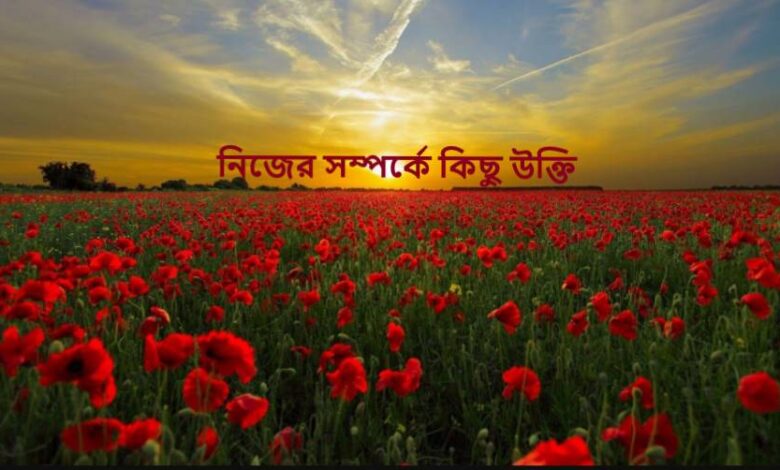 নিজের সম্পর্কে কিছু উক্তি
