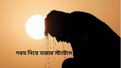 গরম নিয়ে মজার স্ট্যাটাস