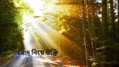 রোদ নিয়ে উক্তি