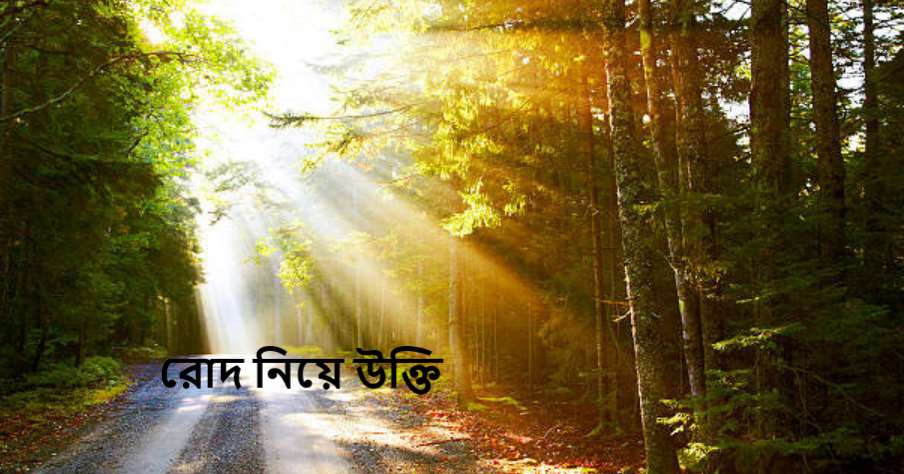 রোদ নিয়ে উক্তি