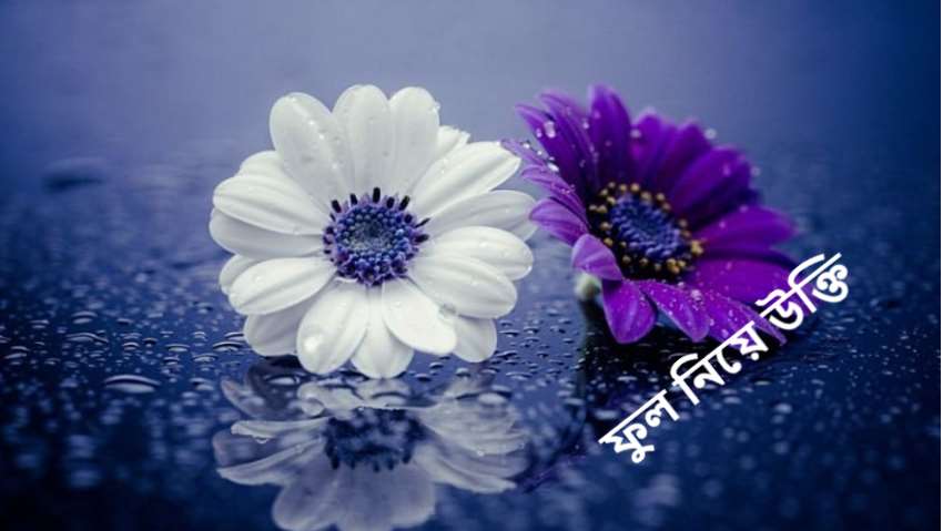 ফুল নিয়ে উক্তি