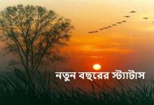 নতুন বছরের স্ট্যাটাস