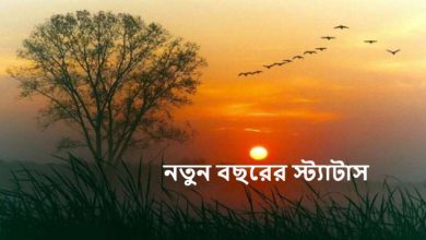 নতুন বছরের স্ট্যাটাস