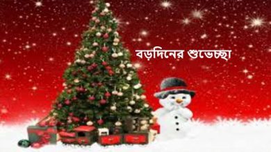 বড়দিনের শুভেচ্ছা